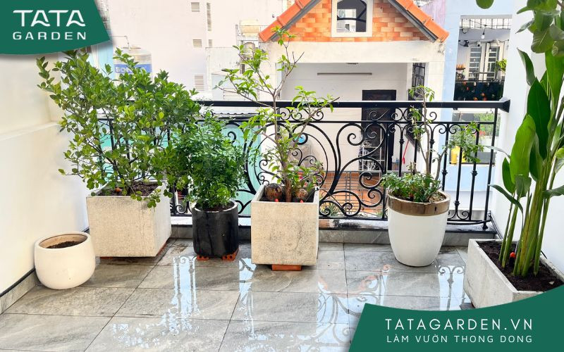Ban công đẹp sau khi lắp đặt hệ thống tưới tự động