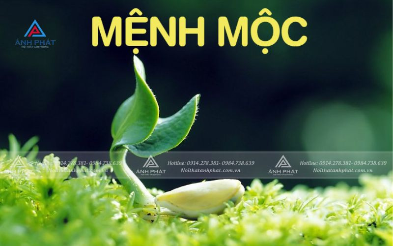 Bảng các năm sinh của người mệnh Mộc và các nạp âm tương ứng