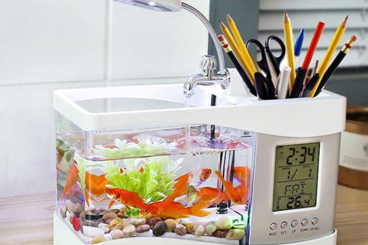 Bể cá mini 3 trong 1 tích hợp đèn và đồng hồ tiện dụng