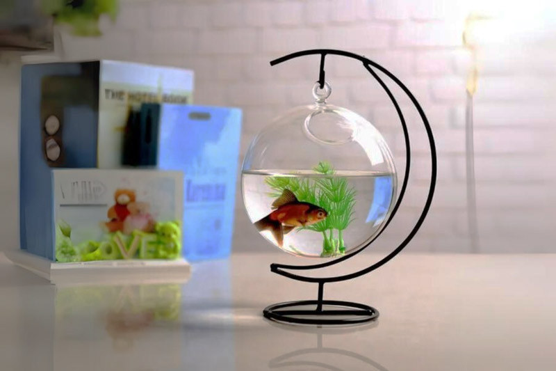Bể cá mini để bàn làm việc dạng treo tường