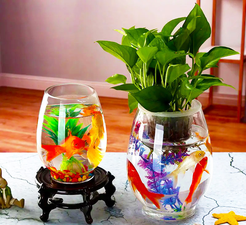 Bể cá mini để bàn làm việc hình bầu dục thanh lịch