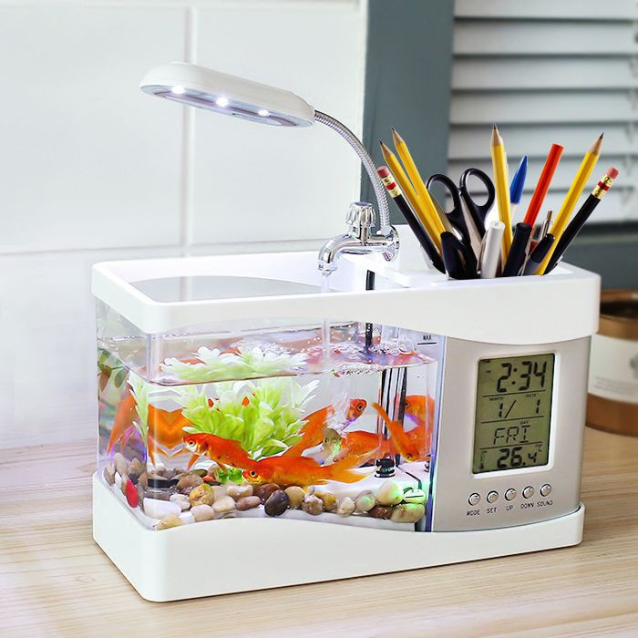 Bể cá mini trang trí bàn làm việc, biểu tượng của sự thịnh vượng cho mệnh Mộc