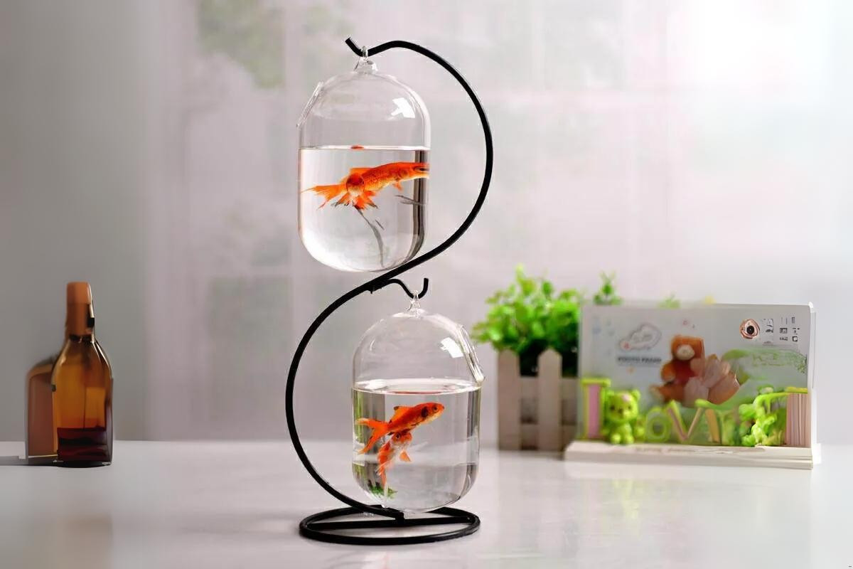Bể cá mini treo trên giá đỡ kim loại sang trọng