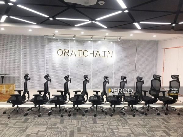 Biểu đồ minh họa giá ghế văn phòng ergonomic