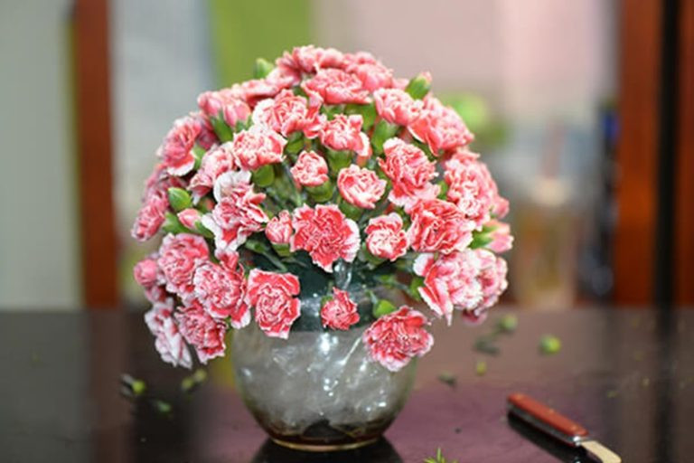 Bình hoa Cẩm Chướng rực rỡ đặt trên bàn