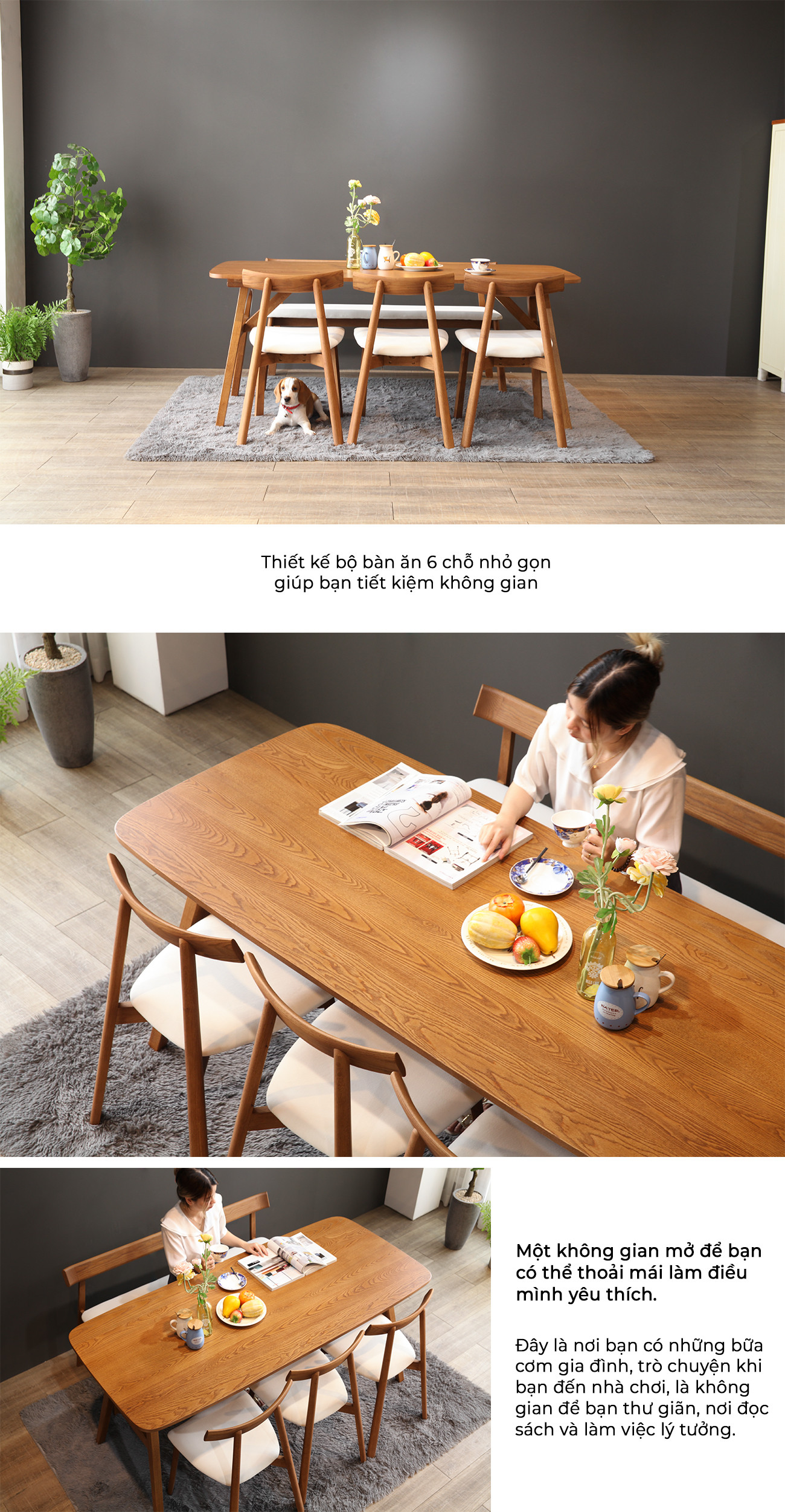 Bộ bàn ăn gỗ tần bì 6 chỗ ngồi cho gia đình