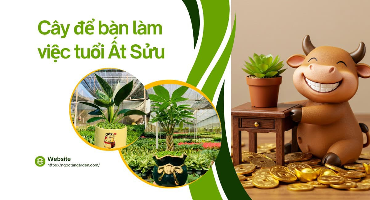 Các loại cây cảnh phong thủy hợp tuổi Ất Sửu