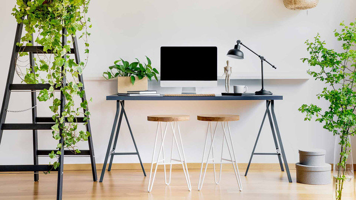 Cây cảnh mini để bàn hoặc treo tường trang trí bàn làm việc