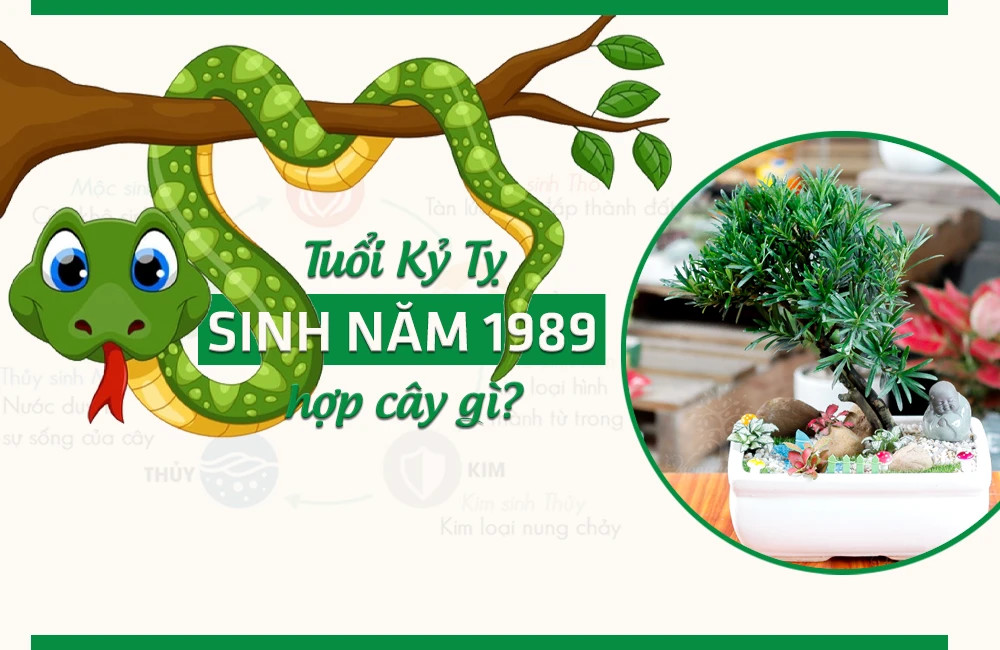 Cây hợp tuổi Kỷ Tỵ 1989