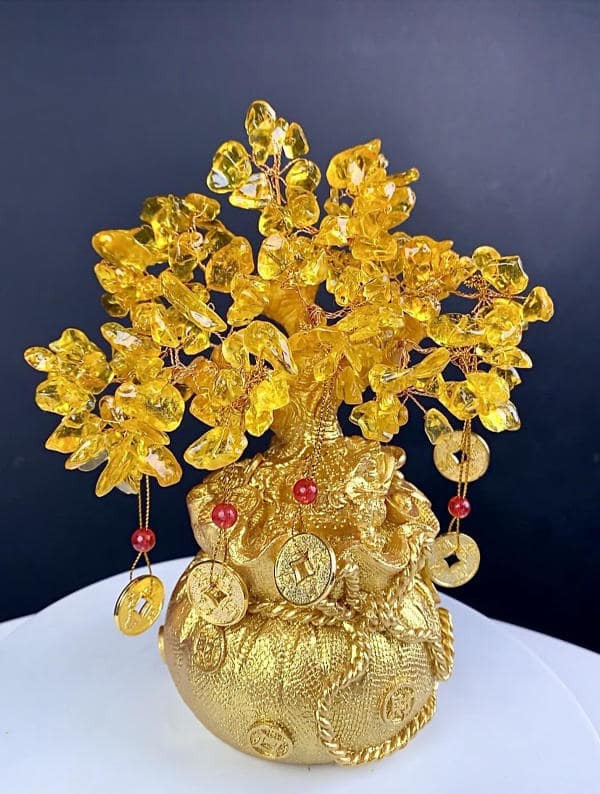 Cây tài lộc rước hên vào nhà, mang đến nhiều phú quý, gấm vóc cho chủ sở hữu, là vật phẩm để bàn làm việc may mắn