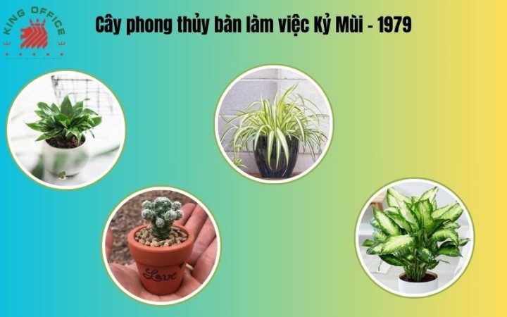 Cây Trầu Bà phong thủy trên bàn làm việc, hợp với người tuổi Kỷ Mùi 1979