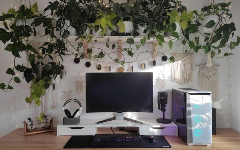 Cây xanh mang lại cảm giác thoải mái cho không gian setup máy tính