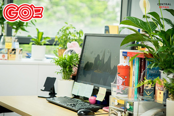 Cây xanh mini mang lại không gian làm việc tươi mới, dễ thương