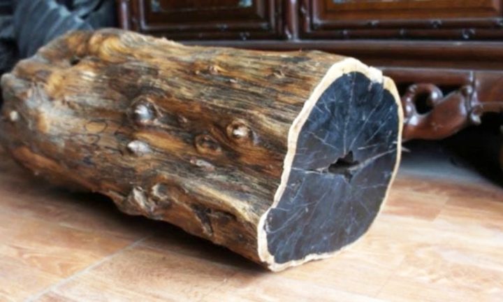 Chất liệu gỗ mun đuôi công đen