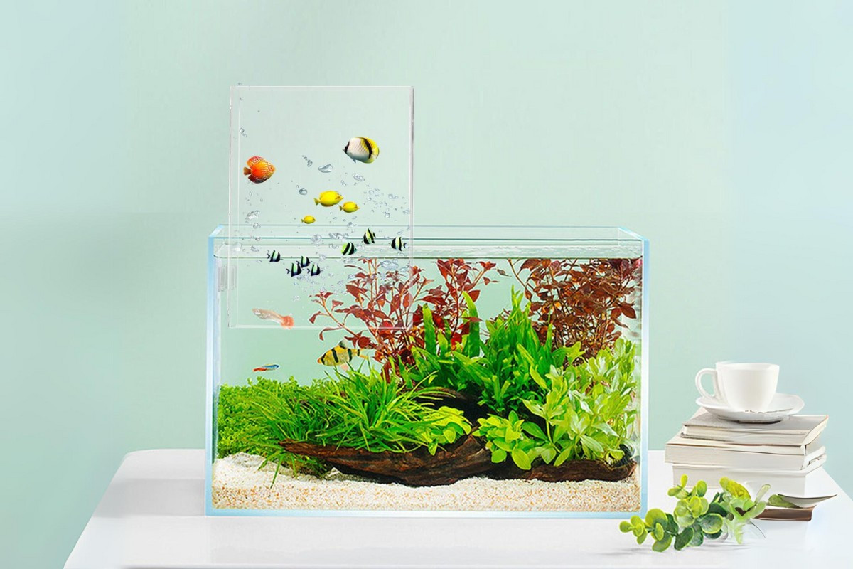 Chậu cá cảnh mini có tiểu cảnh trang trí độc đáo