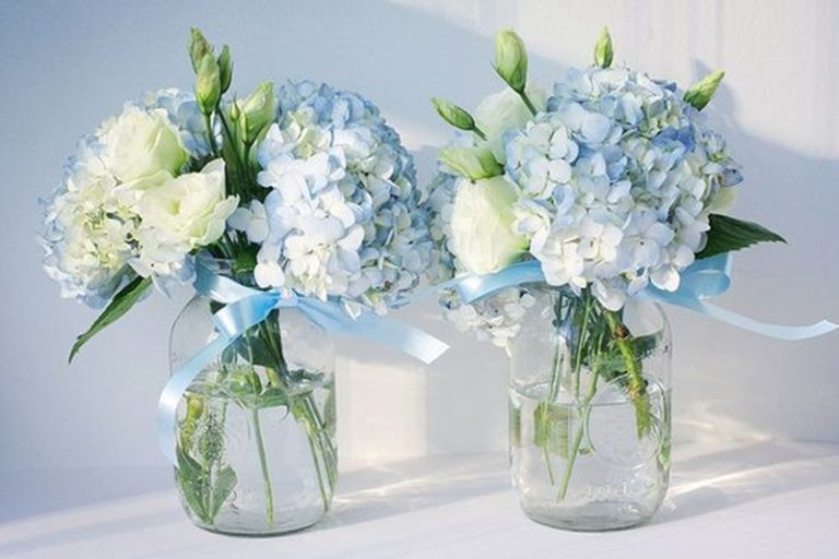 Chậu hoa Cẩm Tú Cầu với kiểu dáng nhẹ nhàng, xinh xắn