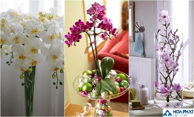 chậu hoa phong lan trắng quý phái đặt trên bàn ăn