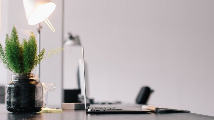 Đặt một chậu cây xanh giữa bàn làm việc và cửa ra vào giúp hóa giải sát khí