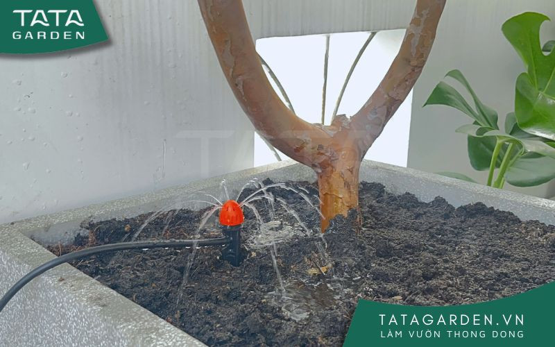 Đầu tưới 8 tia chân cắm điều chỉnh được lưu lượng cho hệ thống tưới