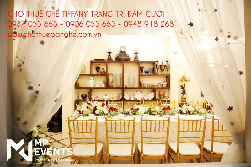 Dãy ghế Tiffany được sắp xếp thẳng hàng, tạo nên không gian trang trọng cho lễ cưới