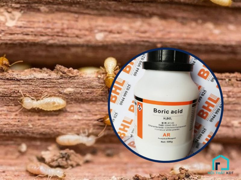 Diệt mối bằng axit boric