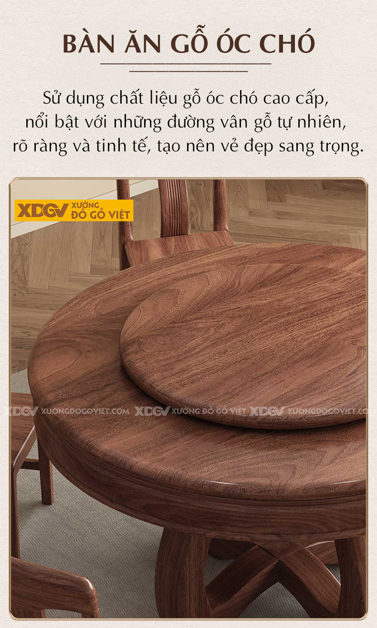 Ghế ăn gỗ óc chó với lưng tựa uốn lượn công thái học