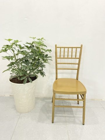 Ghế Chiavari màu vàng đồng trang nhã, mẫu ghế tiệc cưới sang trọng phổ biến.