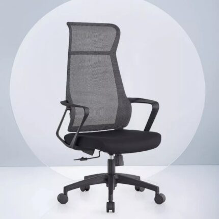 Ghế công thái học chống gù lưới văn phòng DSA333