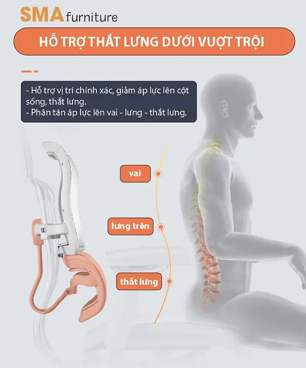 Ghế công thái học được thiết kế bổ trợ, chia đều áp lực cho toàn thân, giảm nguy cơ tổn thương cột sống.