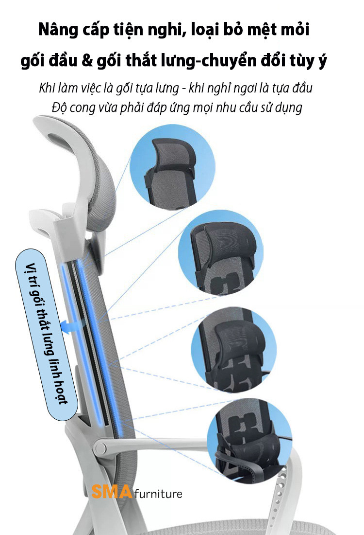 Ghế Công Thái Học Cho Học Sinh: Đầu Tư Sức Khỏe Vàng