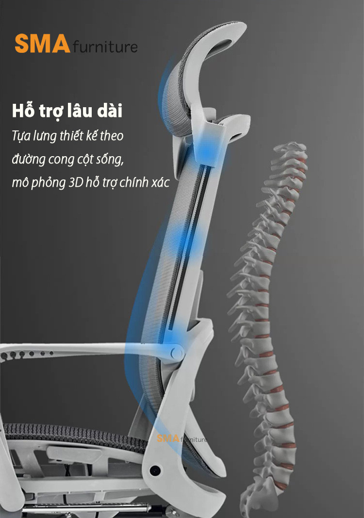 Ghế Công Thái Học Cho Học Sinh: Đầu Tư Sức Khỏe Vàng