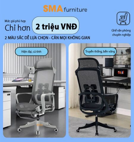 Ghế Công Thái Học Cho Học Sinh: Đầu Tư Sức Khỏe Vàng
