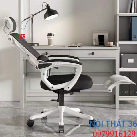 ghế công thái học Thanh Hóa