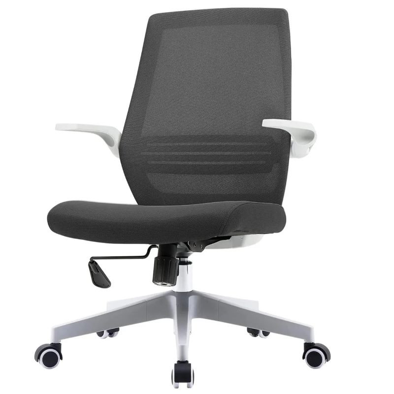 Ghế Ergonomic Chair Sihoo M76