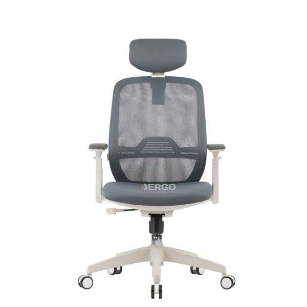 Ghế Ergonomic Office Chair Elegant T21