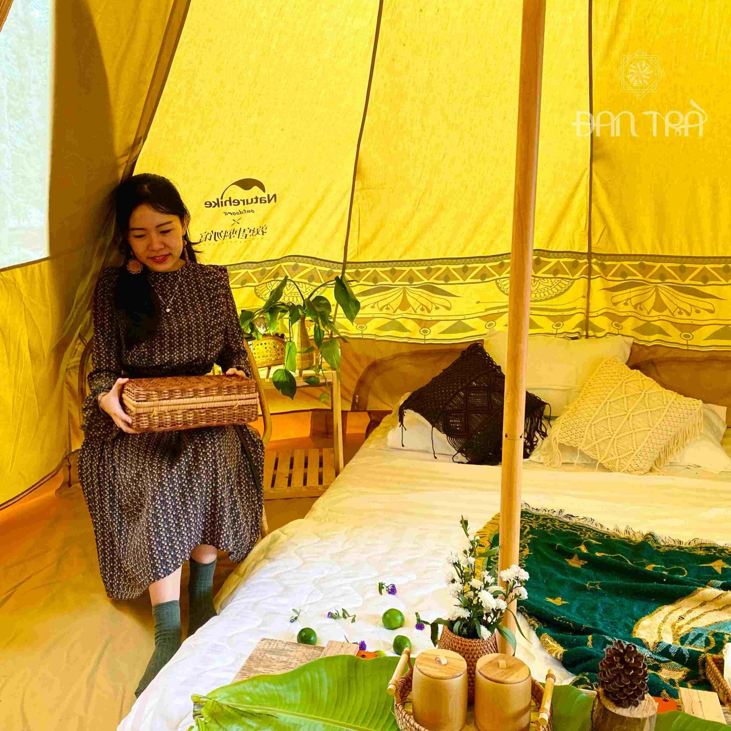 Ghế mây tre đan sò cafe decor homestay