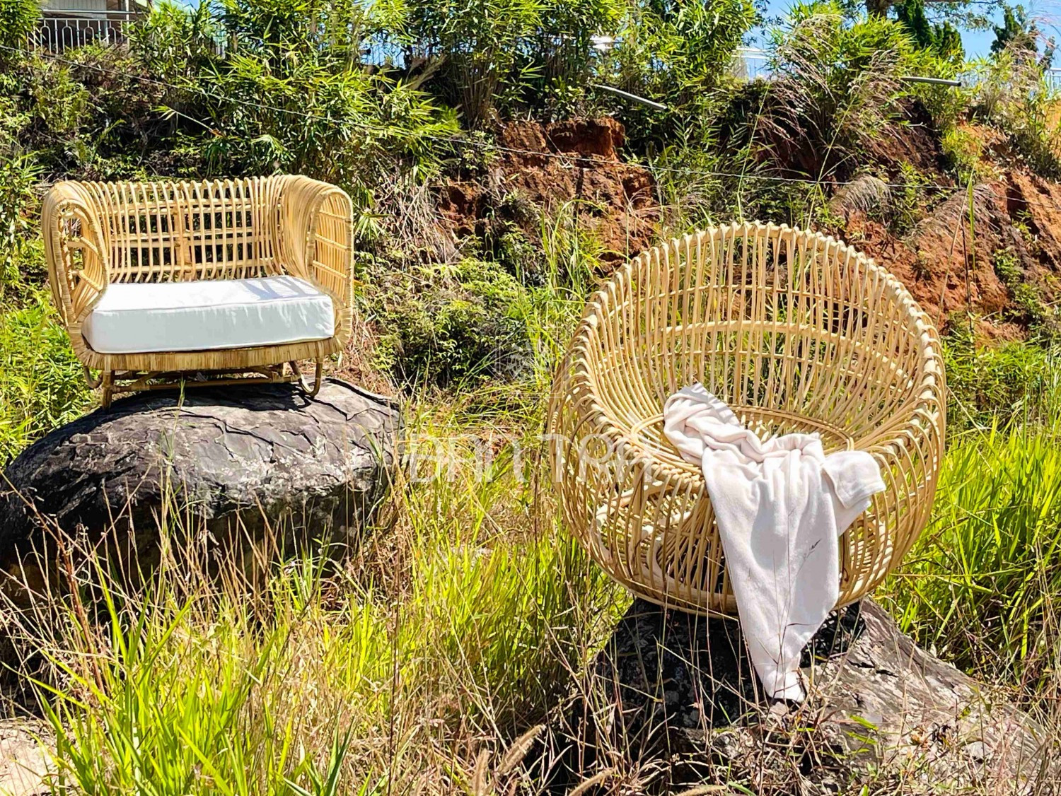 Ghế mây tre đan tổ chim Nest