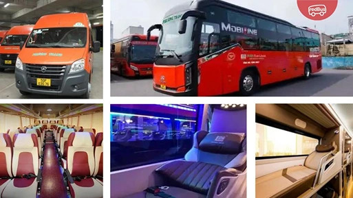 ghế ngồi xe Phương Trang