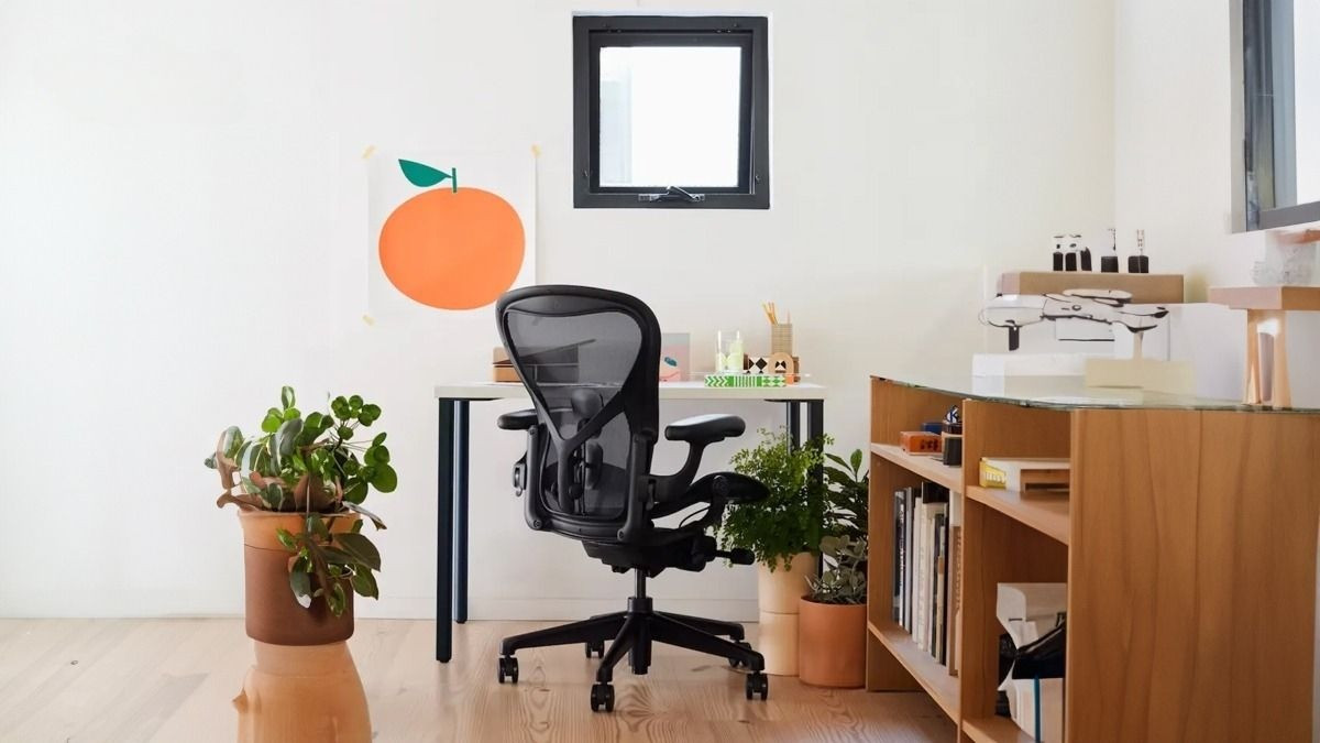 Hãng ghế công thái học Comfort Seating, mang đến trải nghiệm ngồi sang trọng và bền bỉ