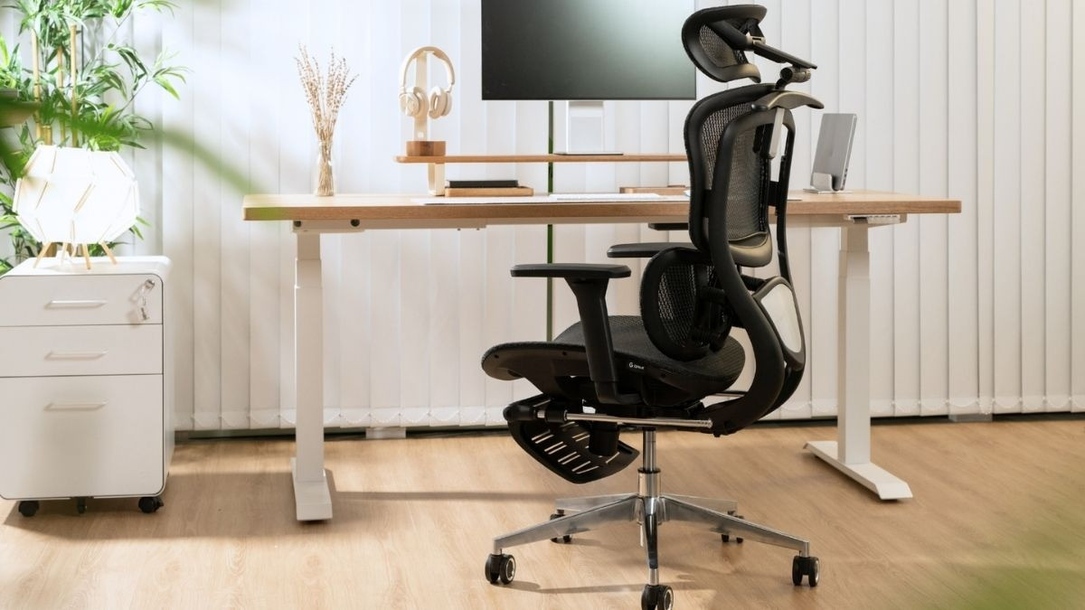 Hãng ghế công thái học GAMI cung cấp các mẫu ghế văn phòng giá cả phải chăng, dễ sử dụng