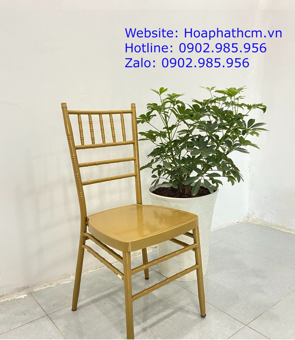 Hàng ghế ngồi sự kiện trong không gian hội trường sang trọng