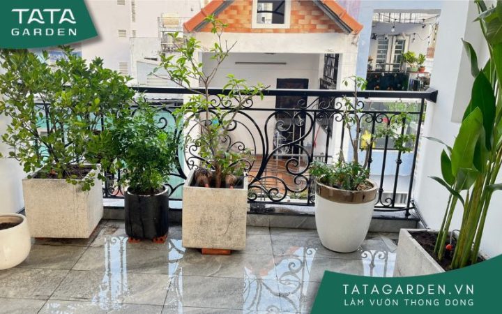 Hệ thống tưới tự động ban công khi bạn an về quê