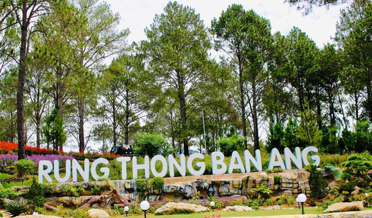 Hồ nước trong xanh và rừng thông Bản Áng trải dài trên đồi
