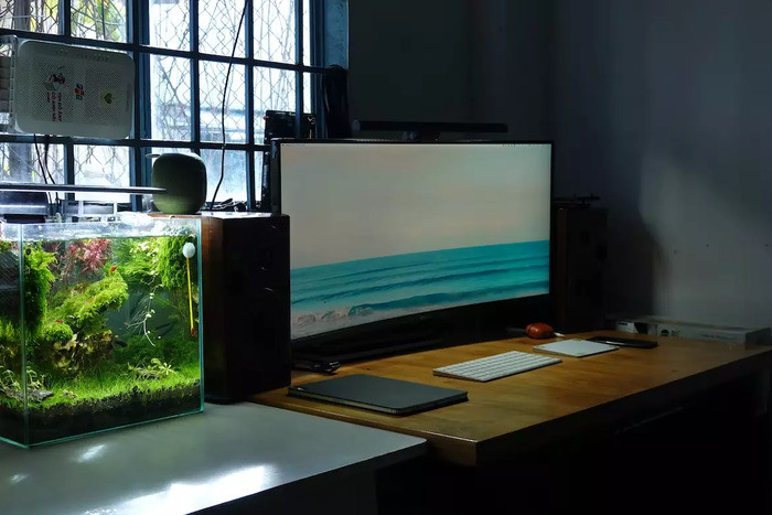 Hóa giải hướng bàn làm việc tuyệt mệnh bằng hồ thủy sinh