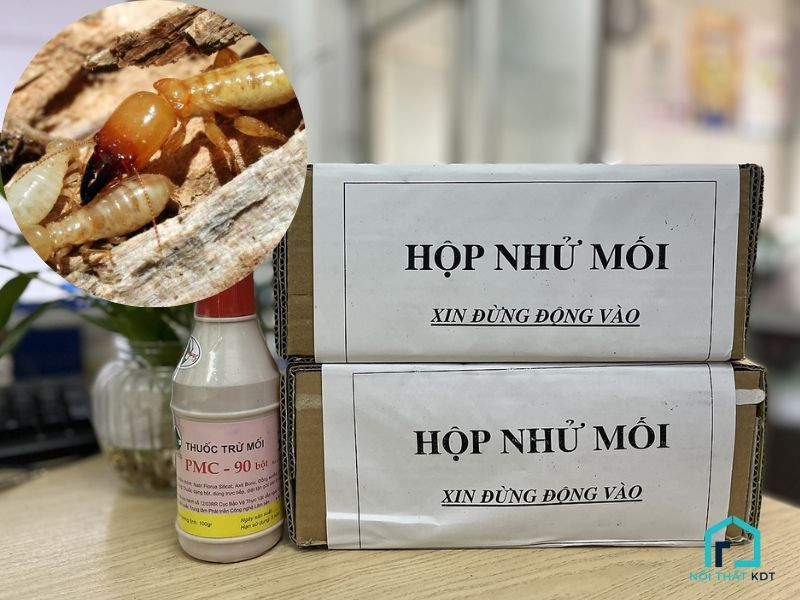Hộp nhử mối