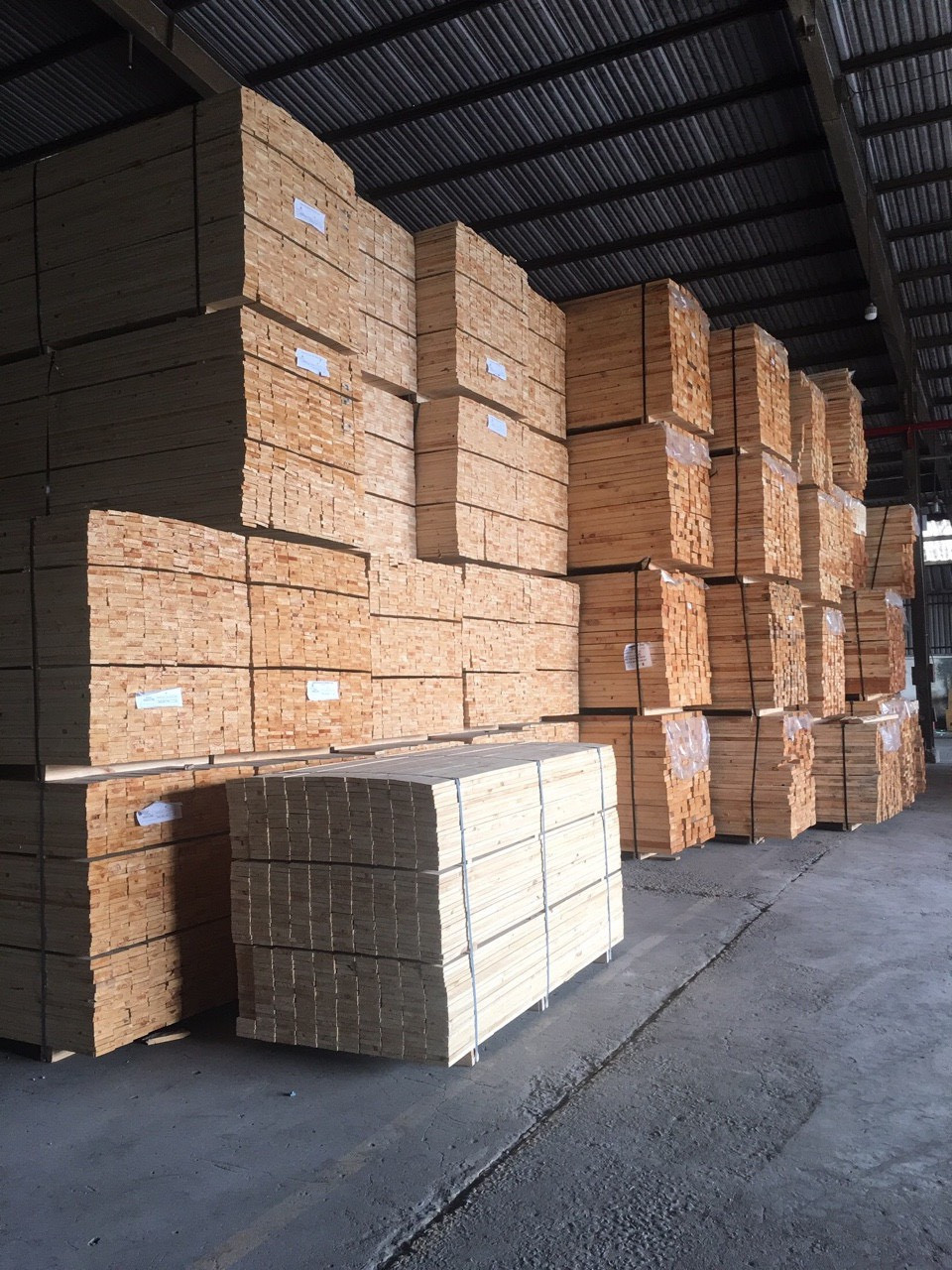 Kho bãi cung cấp gỗ thông tấm nhập khẩu chất lượng cao