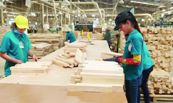 Kiểm tra chứng từ xuất khẩu gỗ liên quan đến HS Code ghế gỗ