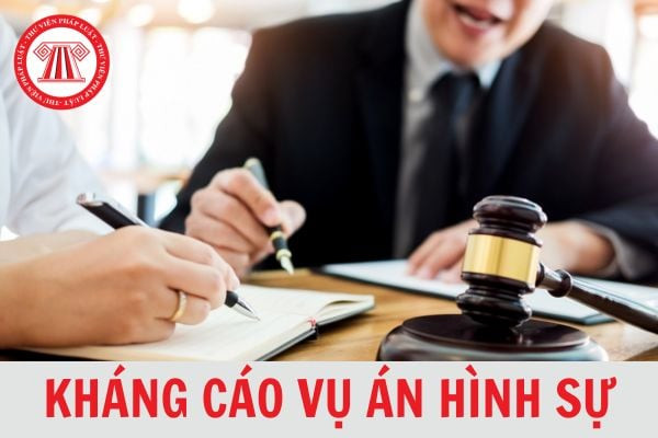 Mẫu đơn kháng cáo vụ án hình sự mới nhất năm 2024?