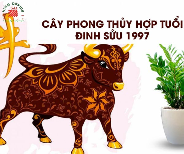 Minh họa cây phong thủy phù hợp với tuổi Đinh Sửu 1997, tô điểm cho không gian làm việc.