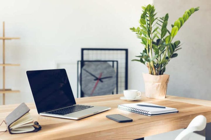 Một chậu cây xanh tươi đặt trên bàn làm việc, tượng trưng cho sự hài hòa phong thủy và thu hút tài lộc cho người mệnh Thủy.